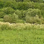 Authentic In Semoy Valley 펜션