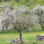 펜션 Authentic In Semoy Valley *