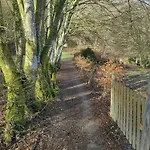 Authentic In Semoy Valley