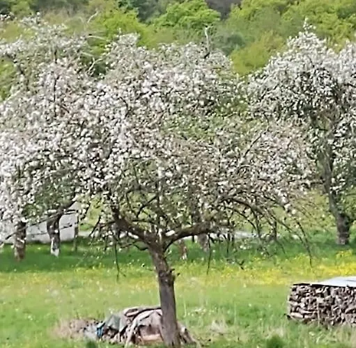 Casa vacanze Authentic In Semoy Valley *